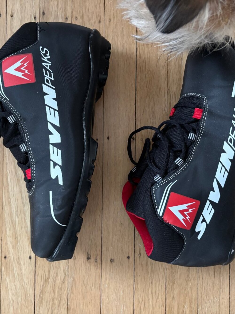 Men's Seven Peaks XC (Cross Country Ski) Boots
